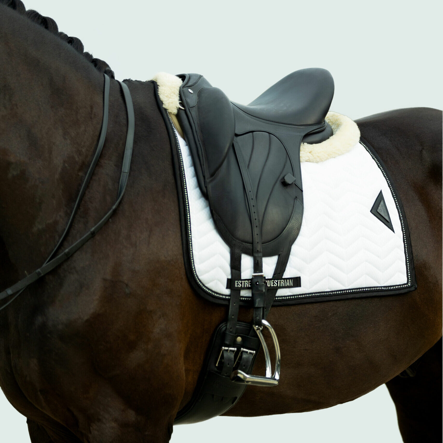 Set Mesh Schabracke + Bandagen